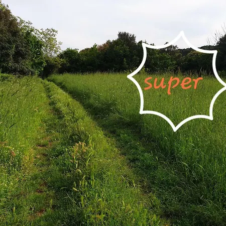 Bm Гостевой дом