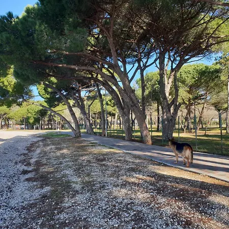 Bm Гостевой дом