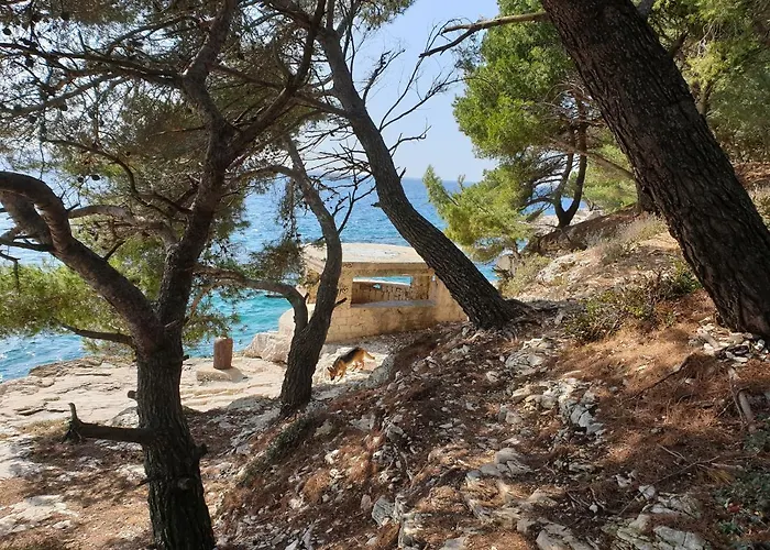 게스트하우스 Bm 3*