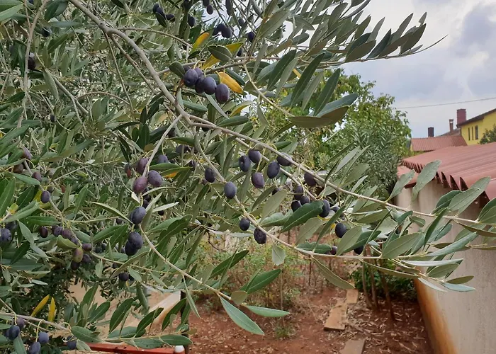 Bm
